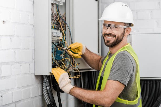 Best Electric Panel Repair  in Trenton, FL