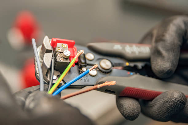 Best Local Electrician Companies  in Trenton, FL