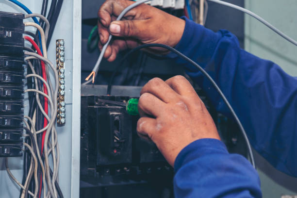 Best Electrical Rewiring Services  in Trenton, FL