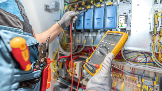 Best Ceiling Fan Installation Electrician  in Trenton, FL